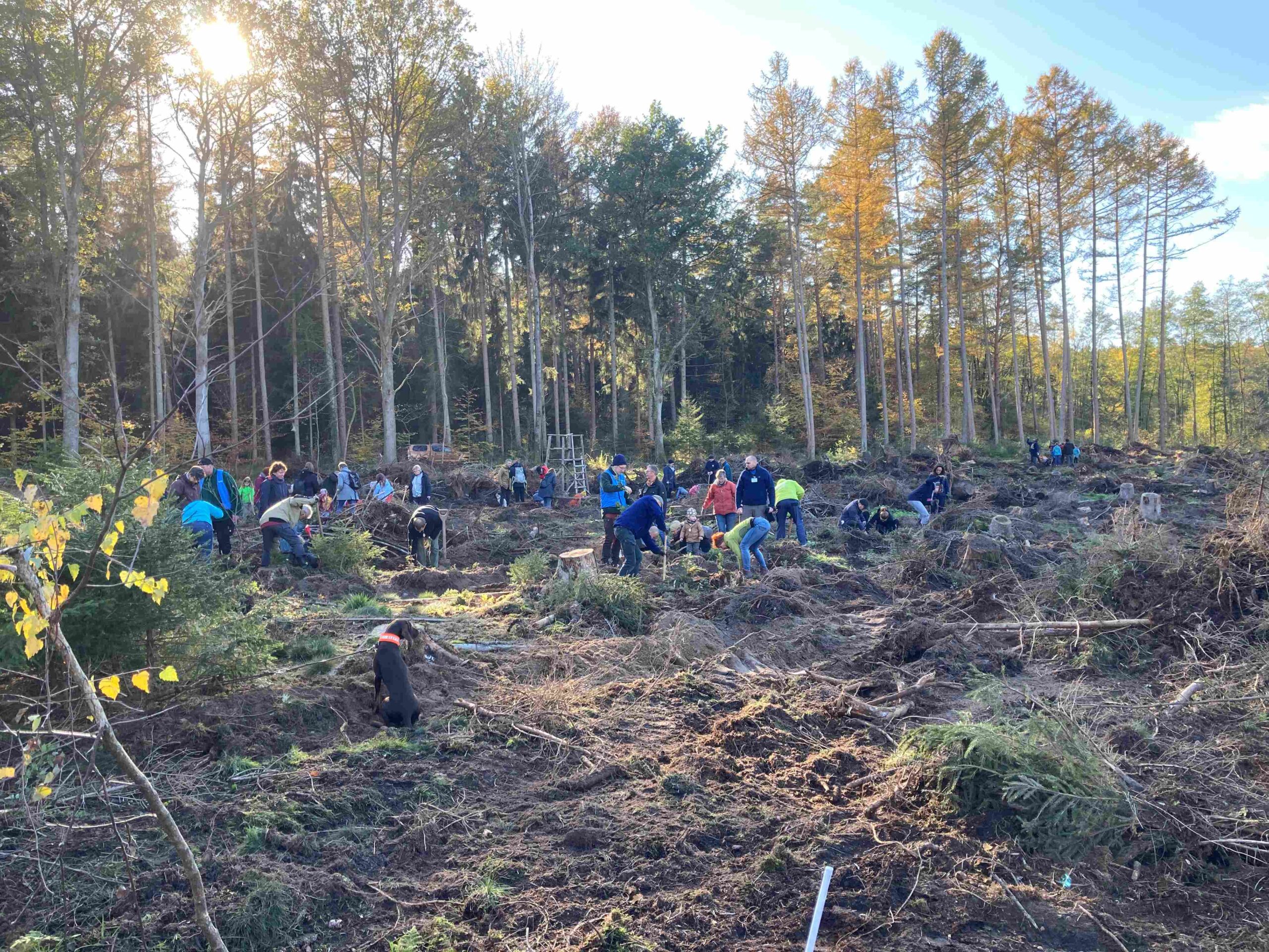 LZ-Blaetterwald 2022
