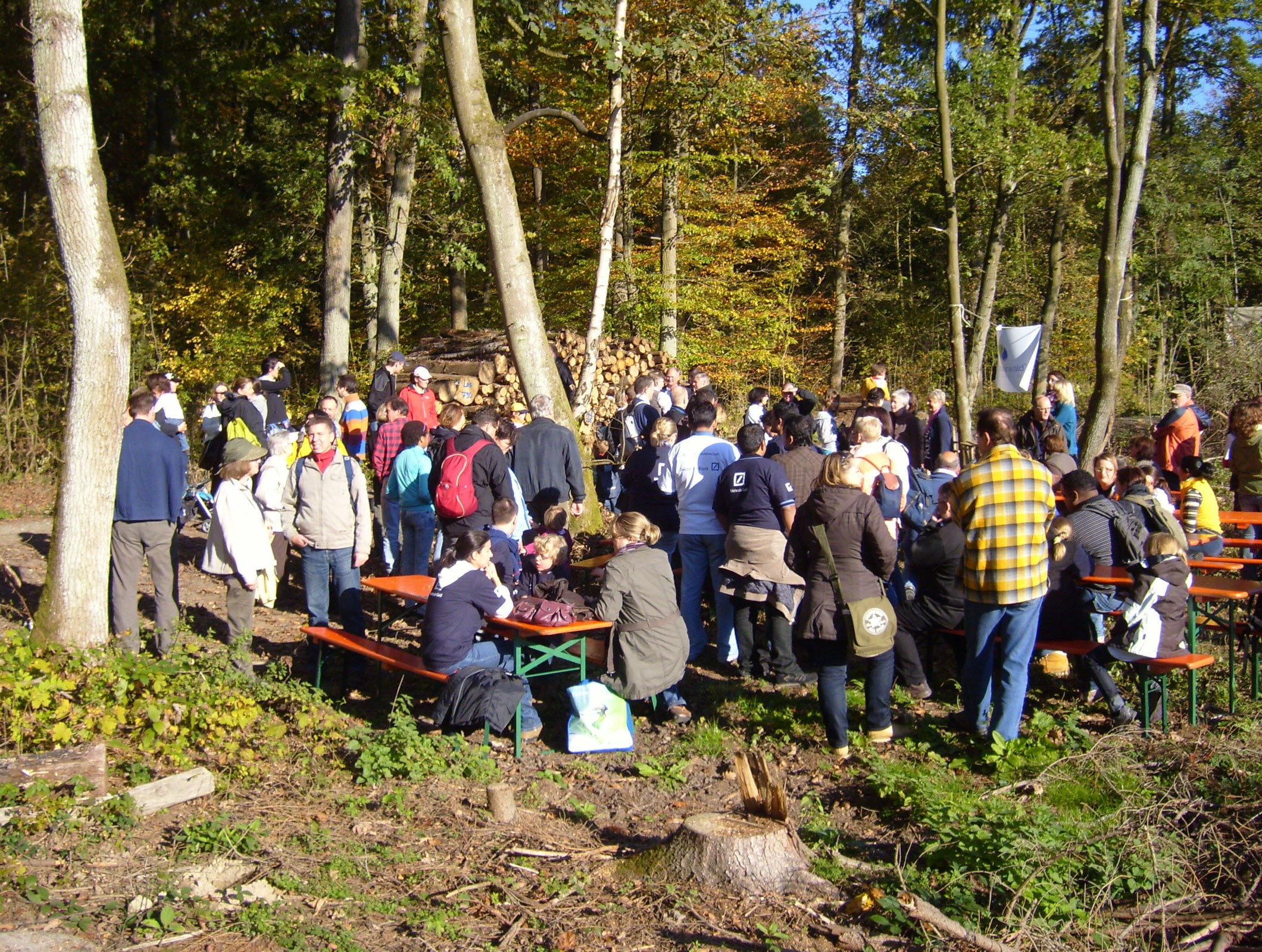 trinkwasserwald-04