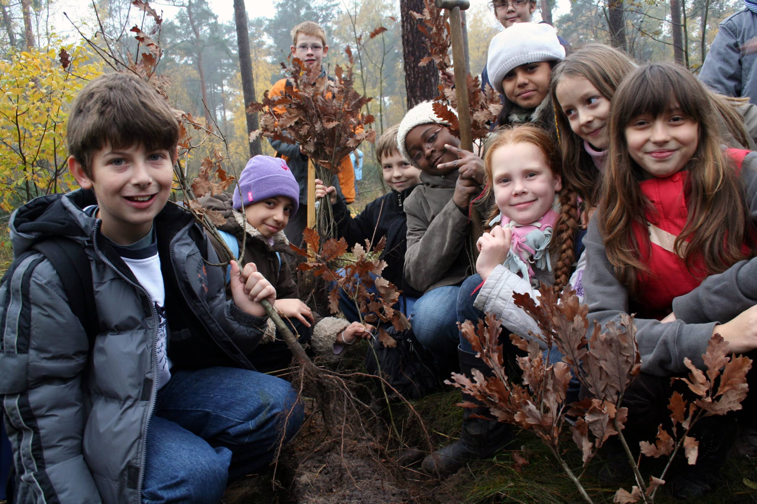 Kinder im Wald